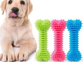 Chewing Toy