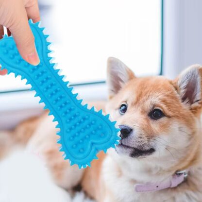 Chewing Toy - Image 2