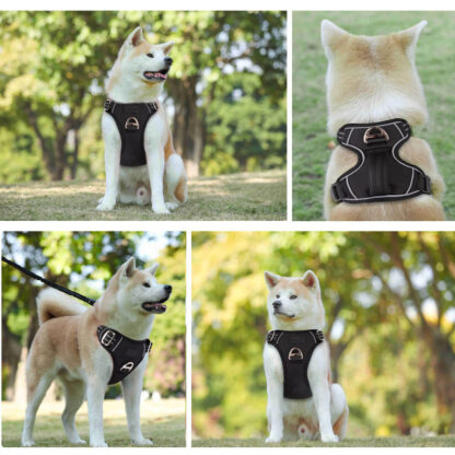 Dog Harness - Image 6