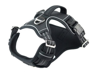 Dog Harness