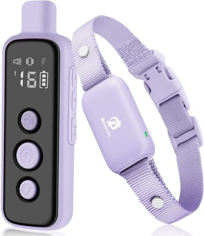 Dog Collar