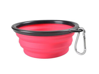 Silicone Bowl