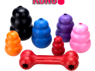 Kong Chewing Toy