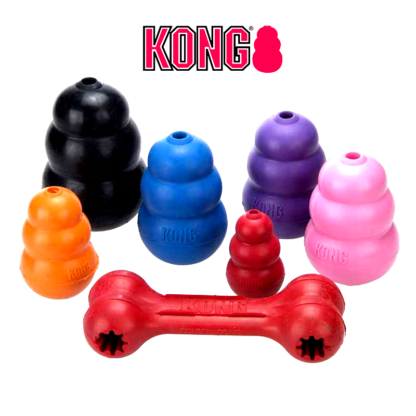 Kong Chewing Toy