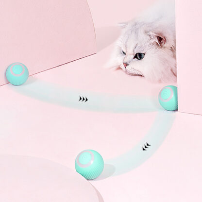 Electric Rolling Ball - Image 2